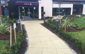 Slab & Paving Path Installation